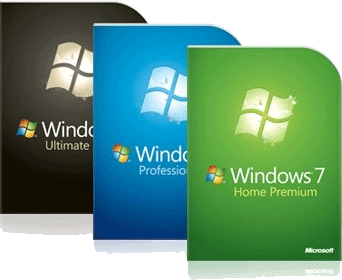 Windows 7 Professional (1PC)